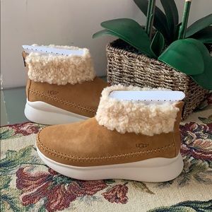 ugg montrose sneaker